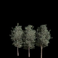 Asset preview